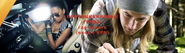 сатива Алексеевка