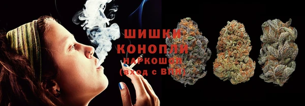 сатива Алексеевка