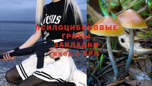 стаф Алексин