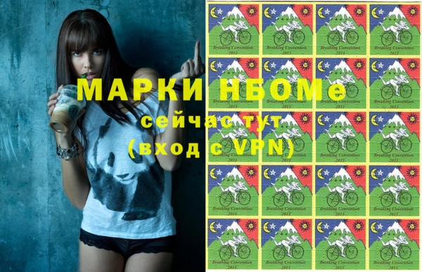 стаф Алексин