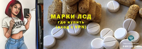 стаф Алексин