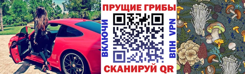 ссылка на мегу tor  Ессентукская  Псилоцибиновые грибы Magic Shrooms 